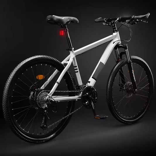 Volt Motions SummitPeak M900 Electric Mountain Bike