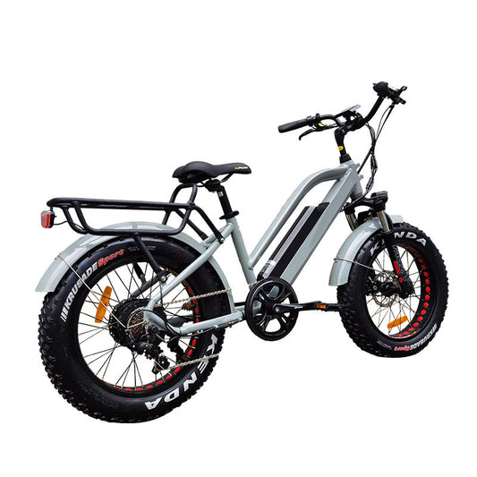 Volt Motions TrailSurge 500 Folding Fat Tire E-Bike